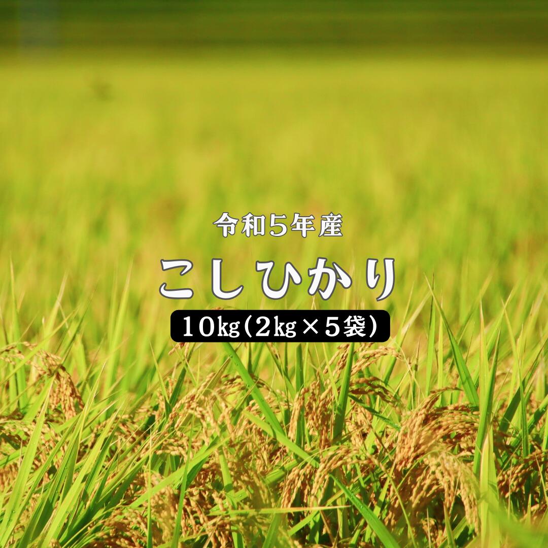 41位! 口コミ数「0件」評価「0」令和5年産 しまね川本 こしひかり 10kg(2kg×5) 島根県 川本町産 コシヒカリ 藤屋 石見米