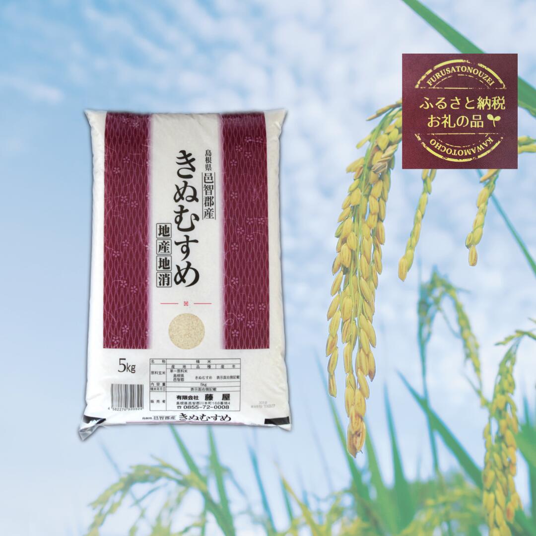 【ふるさと納税】令和5年産　米 しまね川本 きぬむすめ 10kg(5kg×2) 島根県 川本町産 老舗米屋 厳選 藤屋