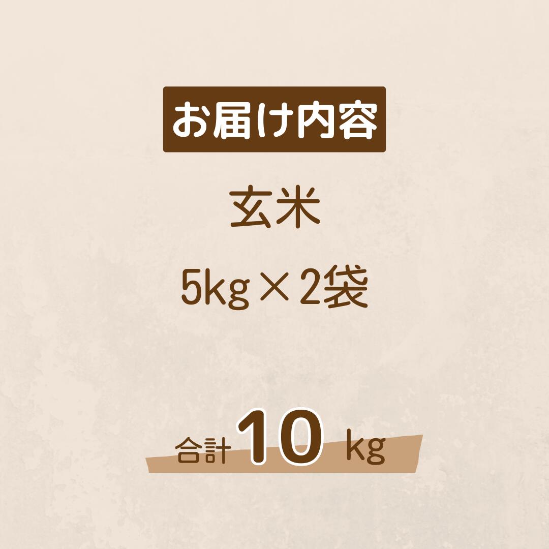 【ふるさと納税】令和5年産 しまね川本 玄米 10kg(5kg×2袋) 島根県 川本町産 玄米 藤屋 石見米