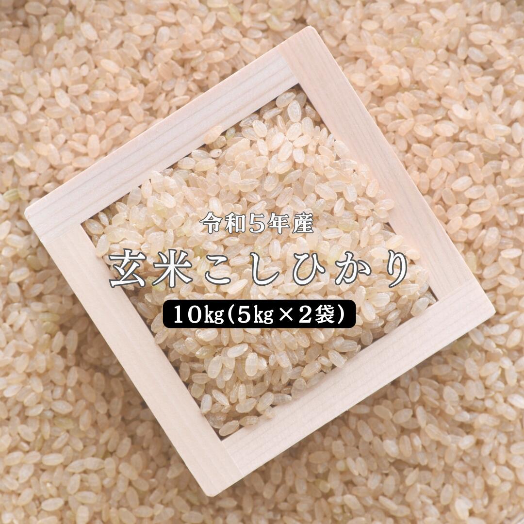 【ふるさと納税】令和5年産 しまね川本 玄米 10kg(5k