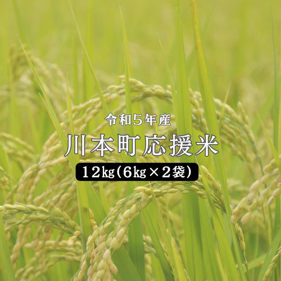 【ふるさと納税】令和5年産 川本町応援米12kg（6kg×2袋） 島根県 川本町産 精米 藤屋 石見米