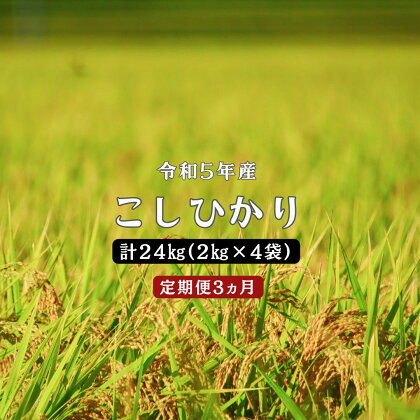 令和5年産 ／お米定期便／3ヵ月 しまね川本 こしひかり 2kg×4個 (計24kg） 島根県 川本町産 コシヒカリ 藤屋 石見米