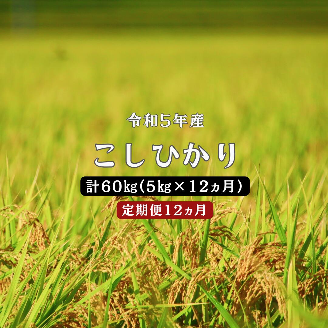 2位! 口コミ数「0件」評価「0」令和5年産 ／お米定期便／12ヵ月　しまね川本 こしひかり 5kg (計60kg） 島根県 川本町産 コシヒカリ 藤屋 石見米