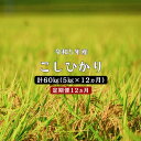 16位! 口コミ数「0件」評価「0」令和5年産 ／お米定期便／12ヵ月　しまね川本 こしひかり 5kg (計60kg） 島根県 川本町産 コシヒカリ 藤屋 石見米