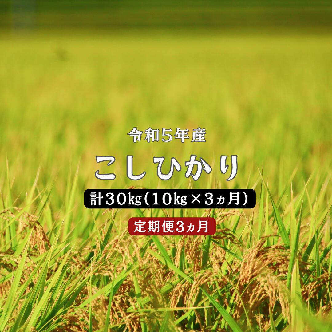 6位! 口コミ数「0件」評価「0」令和5年産／お米定期便／3ヵ月】しまね川本 こしひかり 10kg (計30kg） 島根県 川本町産 コシヒカリ 藤屋 石見米