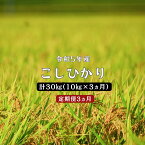 【ふるさと納税】令和5年産／お米定期便／3ヵ月】しまね川本 こしひかり 10kg (計30kg） 島根県 川本町産 コシヒカリ 藤屋 石見米