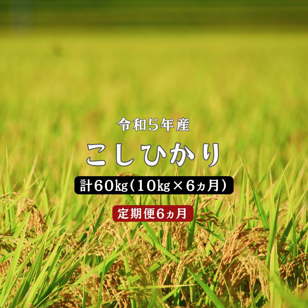 7位! 口コミ数「0件」評価「0」令和5年産／ お米定期便／6ヵ月　しまね川本 こしひかり 10kg (計60kg） 島根県 川本町産 コシヒカリ 藤屋 石見米