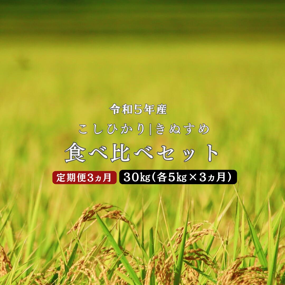 米/お米定期便/3ヵ月しまね川本 こしひかり きぬむすめ 食べ比べセット各5kg(計30kg) 島根県 川本町産 コシヒカリ きぬむすめ 老舗米屋 厳選 藤屋