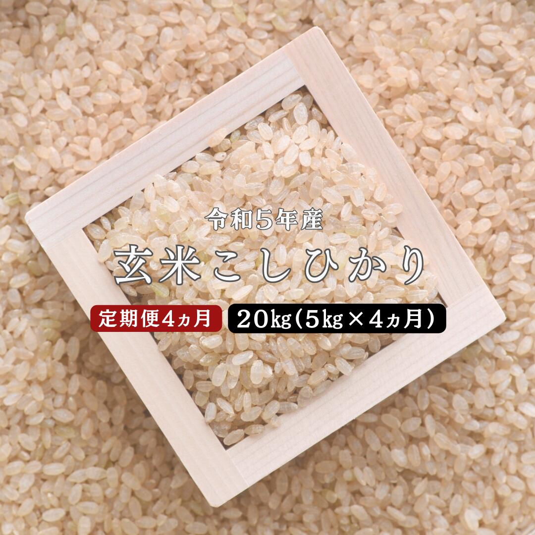 【ふるさと納税】令和5年産／お米定期便／4カ月 しまね川本 玄米 こしひかり5kg (計20kg） 島根県 川本町産 玄米 藤屋 石見米