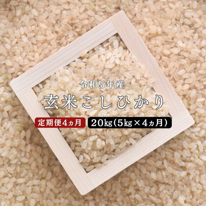 令和5年産／お米定期便／4カ月 しまね川本 玄米 こしひかり5kg (計20kg） 島根県 川本町産 玄米 藤屋 石見米