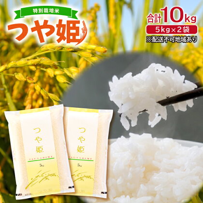 令和5年産 特別栽培米 つや姫 10kg 5kg×2袋 白米 精米 国産 産地直送 ブランド米 つや姫 2023年産 令和5年度産 お米 弁当 ご飯 おにぎり 特産品 お取り寄せ