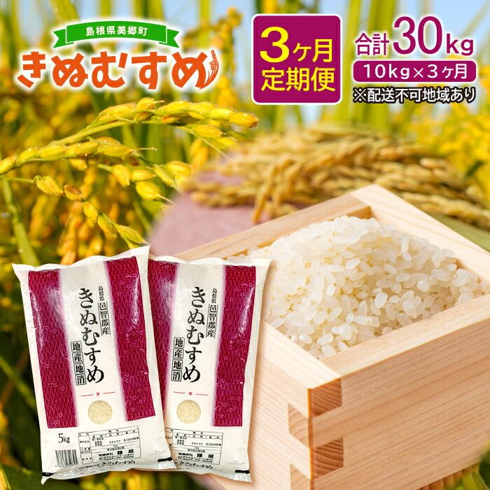 【ふるさと納税】 【定期便3ヶ月】 令和4年産 新米 石見地方 邑智郡産 きぬむすめ 10kg 5kg 2袋 3回お届け 合計30kg 毎月お届け 白米 精米 国産 島根県産 邑智郡 美郷町 産地直送 ブランド米 きぬむすめ 2022年産 弁当 ご飯 おにぎり 特産品 お取り寄せ