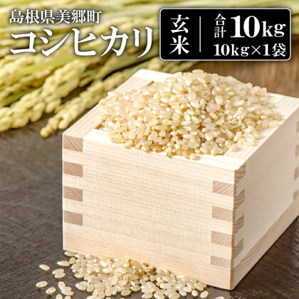 令和5年産 コシヒカリ 玄米 10kg お米 こしひかり 国産 産地直送 ブランド米 ご飯 おにぎり 特産品 お取り寄せ