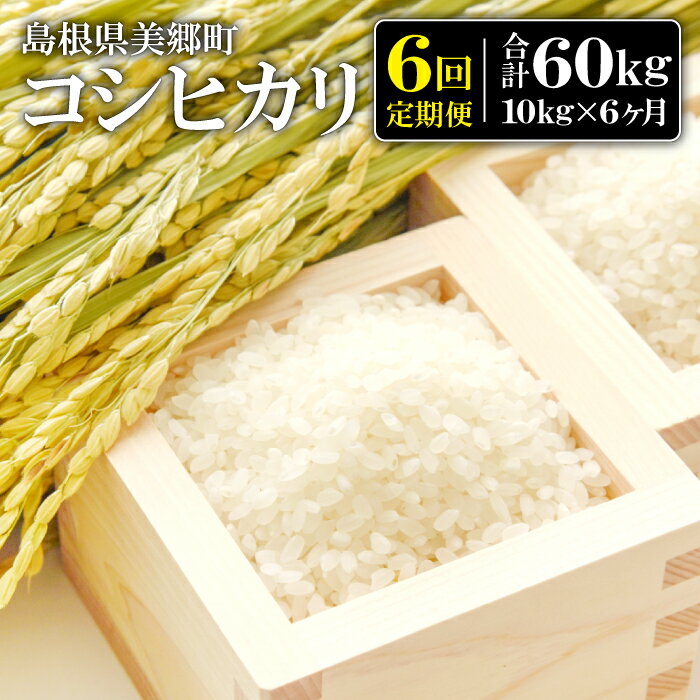 定期便6ヶ月 令和5年産 コシヒカリ 10kg 1袋 10kg×6回 合計60kg 定期便 米 コシヒカリ 毎月お届け 6回お届け 白米 精米 国産 産地直送 ブランド米 弁当 ご飯 おにぎり 特産品 お取り寄せ