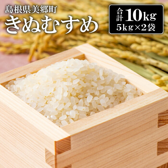 【ふるさと納税】令和5年産 きぬむすめ 10kg 5kg×2袋 白米 精米 国産 産地直送 ブランド米 2023年産 ...