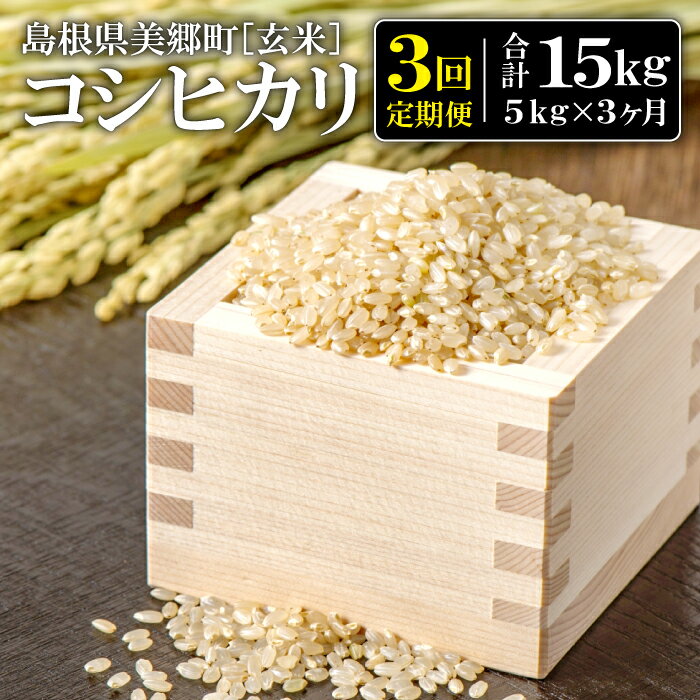 【ふるさと納税】定期便3ヶ月 令和5年産 コシヒカリ 玄米 5kg×3回 合計15kg 定期便 米 こしひかり 玄米 国産 産地直送 ブランド米 2023年産 弁当 ご飯 おにぎり 特産品 お取り寄せ