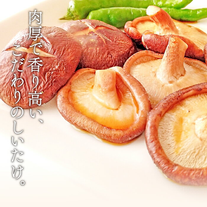 島根県美郷町の画像3