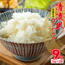 12位! 口コミ数「1件」評価「4」 コシヒカリ 清流米 3kg×3袋 合計9kg 白米 精米 お米 国産 ブランド米 弁当 ご飯 おにぎり 特産品 お取り寄せ