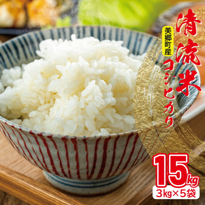 55位! 口コミ数「0件」評価「0」 コシヒカリ 清流米 3kg×5袋 合計15kg 白米 精米 お米 国産 ブランド米 弁当 ご飯 おにぎり 特産品 お取り寄せ