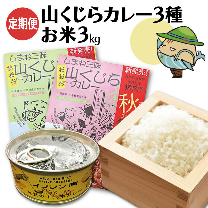 【ふるさと納税】 みさと産直 猪肉 キーマカレー 3種 コシヒカリ 3kg セット 各3個入【3か月定期便】...