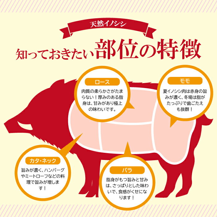 アイテムID:667730の画像3枚目