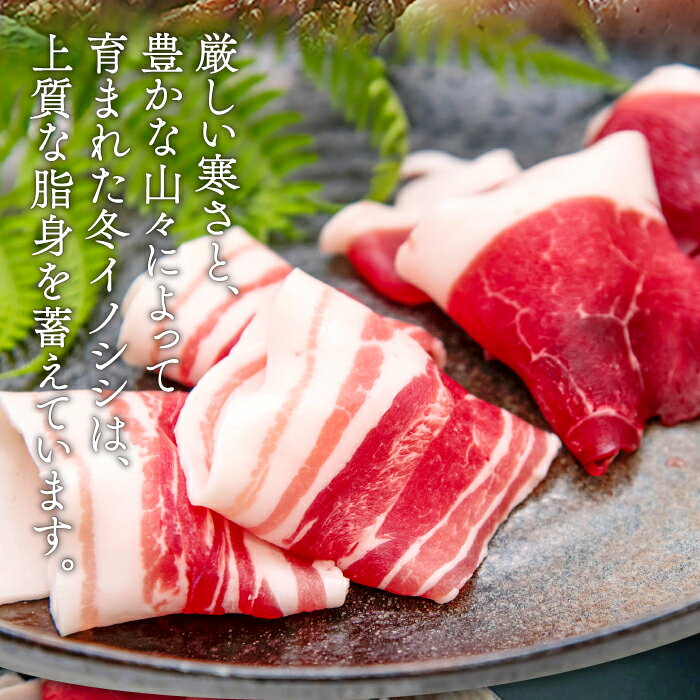 【ふるさと納税】おおち山くじら（イノシシ肉）味噌すき鍋セット 約400g 冬猪肉 ロース 200g 夏猪肉 モモ 200g 肉 猪肉 いのしし肉 イノシシ肉 鍋 すき鍋 ぼたん鍋 味噌 みそ ミソ ジビエ鍋 冷凍 真空パック 特産品 お取り寄せ グルメ 国産 野生動物