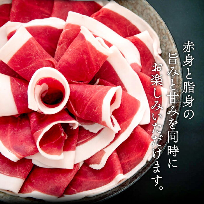 島根県美郷町の画像3