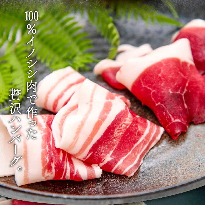 【ふるさと納税】 猪肉 ハンバーグ 4袋セット 75g×8個 2個入り×4袋 肉 猪肉 100%使用 加工品 冷凍食品 冷凍で調理可能 ソース不要 調味料不要 簡単調理 ジビエ 蒸し焼き 初心者におすすめ 国産