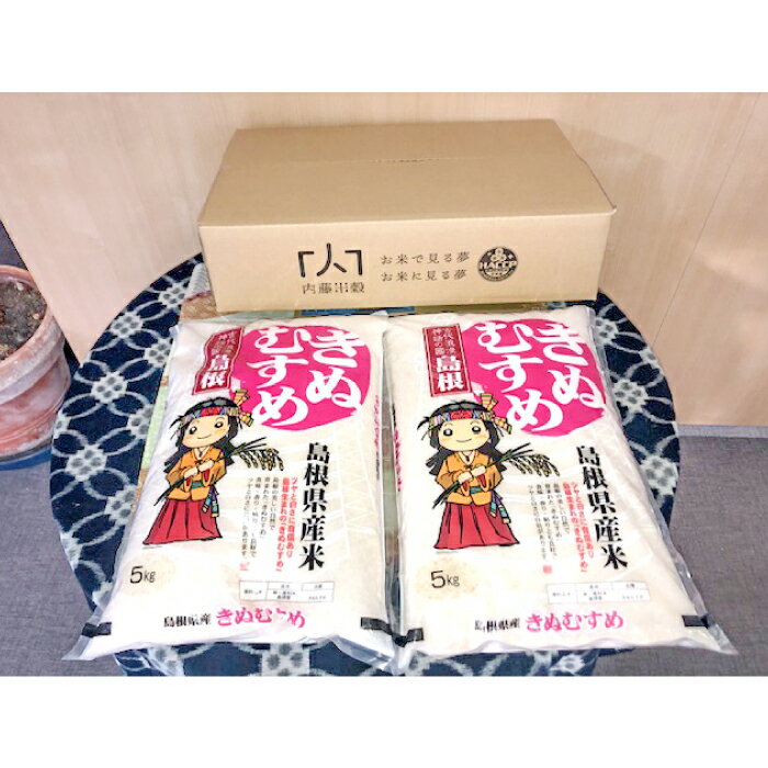 【ふるさと納税】 令和5年産 きぬむすめ 10kg 5kg×2袋 米 お米 精米 白米 ブランド米 お取り寄せ グルメ 特産品 2023年産