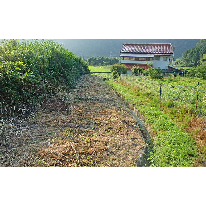 内容●空き家、空き地の草刈り　2.5時間／1人コース ●作業前、作業後の写真を郵送します。 申込期日通年 事業者美郷町社会福祉協議会 備考【重要】 ※寄附を申し込まれる前に美郷町社会福祉協議会（0855‐75‐1345）まで必ずお電話をお願いします。 ※画像はイメージです。 ※美郷町内の地域限定になります。 ※美郷町社会福祉協議会で対応可能かどうか現地確認をさせていただきます。 ※現地確認実施後、サービス可否を寄付者様へご連絡いたします。 ※その後寄附をお申込みください。 ※期日指定でのお申込みが困難な場合もございます ※サービス提供がされない場合があります。この場合でも、寄附金を返金することはいたしませんので、寄附を申し込まれる前に必ずご連絡をくださいますようお願いいたします。 ・ふるさと納税よくある質問はこちら ・寄附申込みのキャンセル、返礼品の変更・返品はできません。あらかじめご了承ください。【ふるさと納税】空き家・空き地の草刈り　2.5時間コース　【地域のお礼の品・カタログ】 美郷町に空き家、空き地があるが、遠方で管理できないという方、空き家、空き地の草刈りをいたします。 寄附金の用途について 1.若者定住促進と雇用の場の創出に関する事業 2.子どもたちの健全育成等次世代育成に関する事業（美郷町子ども未来応援金等） 3.社会福祉・高齢者福祉の向上、住民の健康増進に関する事業 4.銀山街道など歴史文化遺産と自然環境の維持保全に関する事業 5.石見神楽の継承・発展に関する事業 6.バリ島との交流促進及びバリの町づくりに関する事業 7.寄付の目的については、美郷町長に一任する 受領証明書及びワンストップ特例申請書のお届けについて 入金確認後、注文内容確認画面の【注文者情報】に記載の住所にお送りいたします。発送の時期は、入金確認後2〜3週間程度を目途に、お礼の特産品とは別にお送りいたします。