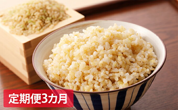 最新の激安 ふるさと納税 定期便3ヶ月 令和2年産 石見地方 邑智郡産コシヒカリ 玄米8kg 定期便 お米 コシヒカリ 玄米 大注目 Cmamachines Com