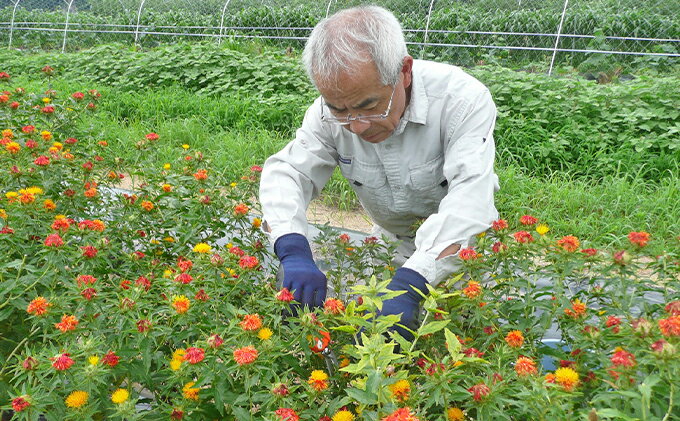 ふるさと納税 美郷町薬草研究会 香草 ブレンドティー レモングラス 3袋 飲料類 お茶 飲料 ドリンク 島根県美郷町 ふるさと納税 美郷町薬草研究会 香草 ブレンドティー レモングラス 3袋 飲料類 お茶 飲料 ドリンク 島根県美郷町