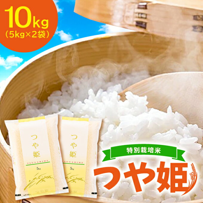 【ふるさと納税】特別栽培米 つや姫 10kg(5kg×2袋) 白米 国産 島根県産 邑智郡 美郷町 産地直送 ブランド米 つや姫 お米 弁当 ご飯 おにぎり