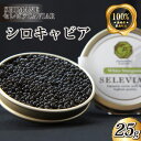 【ふるさと納税】キャビア「シロ」25g