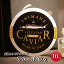 【ふるさと納税】島根セレビアキャビア 「アムール10g」