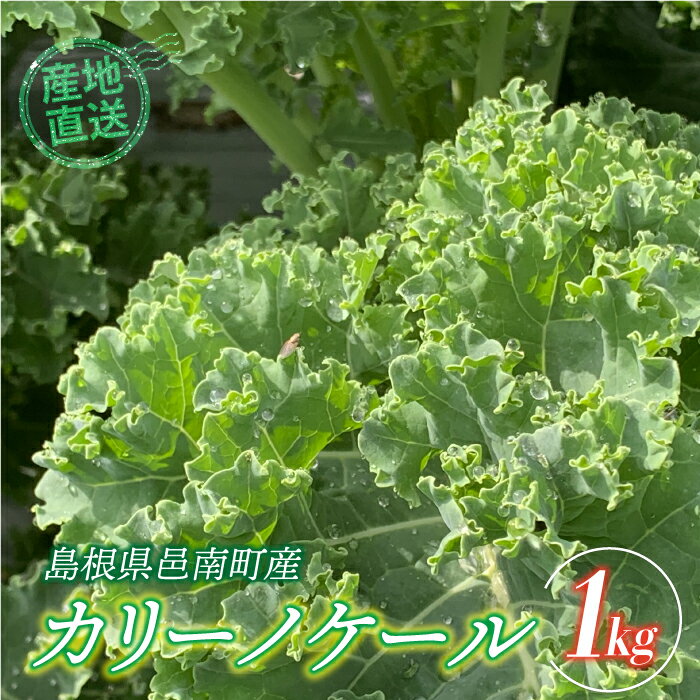 カリーノケール1kg 6月よりお届け