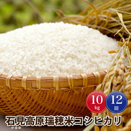 【定期便-12ヶ月連続お届け】令和5年産!邑南町産石見高原瑞穂米10kg