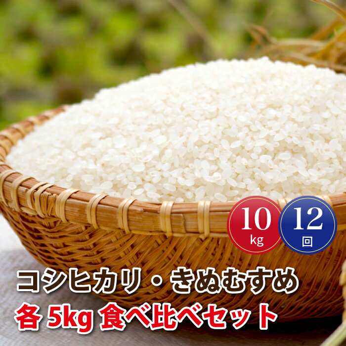 【ふるさと納税】【定期便-12ヶ月連続お届け】令和5年産!邑南町産コシヒカリ・きぬむすめ食べ比べセット10kg