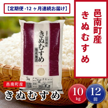 【ふるさと納税】邑南町産　きぬむすめ10kg（5kg×2）　定期便12か月お届けコース