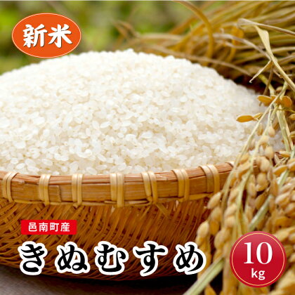 令和5年産！ 邑南町産 きぬむすめ 10kg