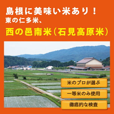 【ふるさと納税】邑南町産　きぬむすめ10kg（5kg×2）　定期便12か月お届けコース