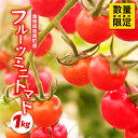 【ふるさと納税】数量限定!!うす皮フルーツミニトマト「華の妖精」1kg