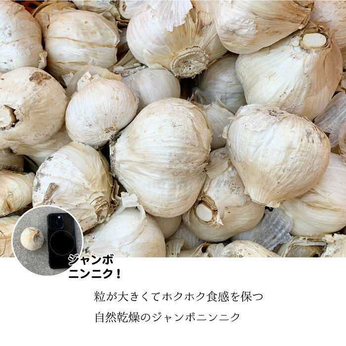 【ふるさと納税】【先行予約】ひでちゃんのジャンボニンニク（バラ）1kg