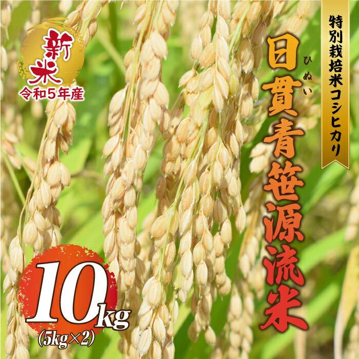 [令和5年産]特別栽培米コシヒカリ 日貫青笹源流米 10kg(5kg×2袋)令和5年10月よりお届け