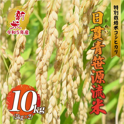 【令和5年産】特別栽培米コシヒカリ 日貫青笹源流米 10kg（5kg×2袋）令和5年10月よりお届け