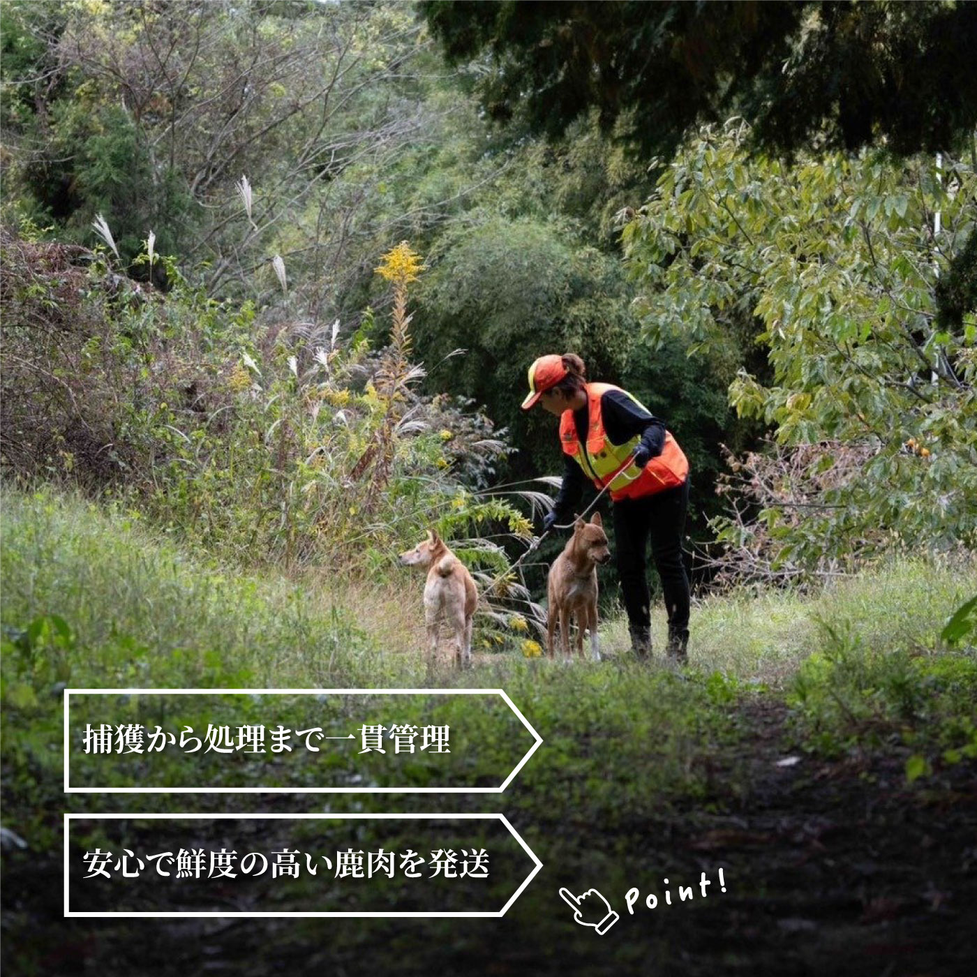 【ふるさと納税】島根県産鹿肉モモスライス 真空パック 600g（200g×3袋）冷凍 f324493-ohnan-10000541 島根県邑南町 サンプル画像2