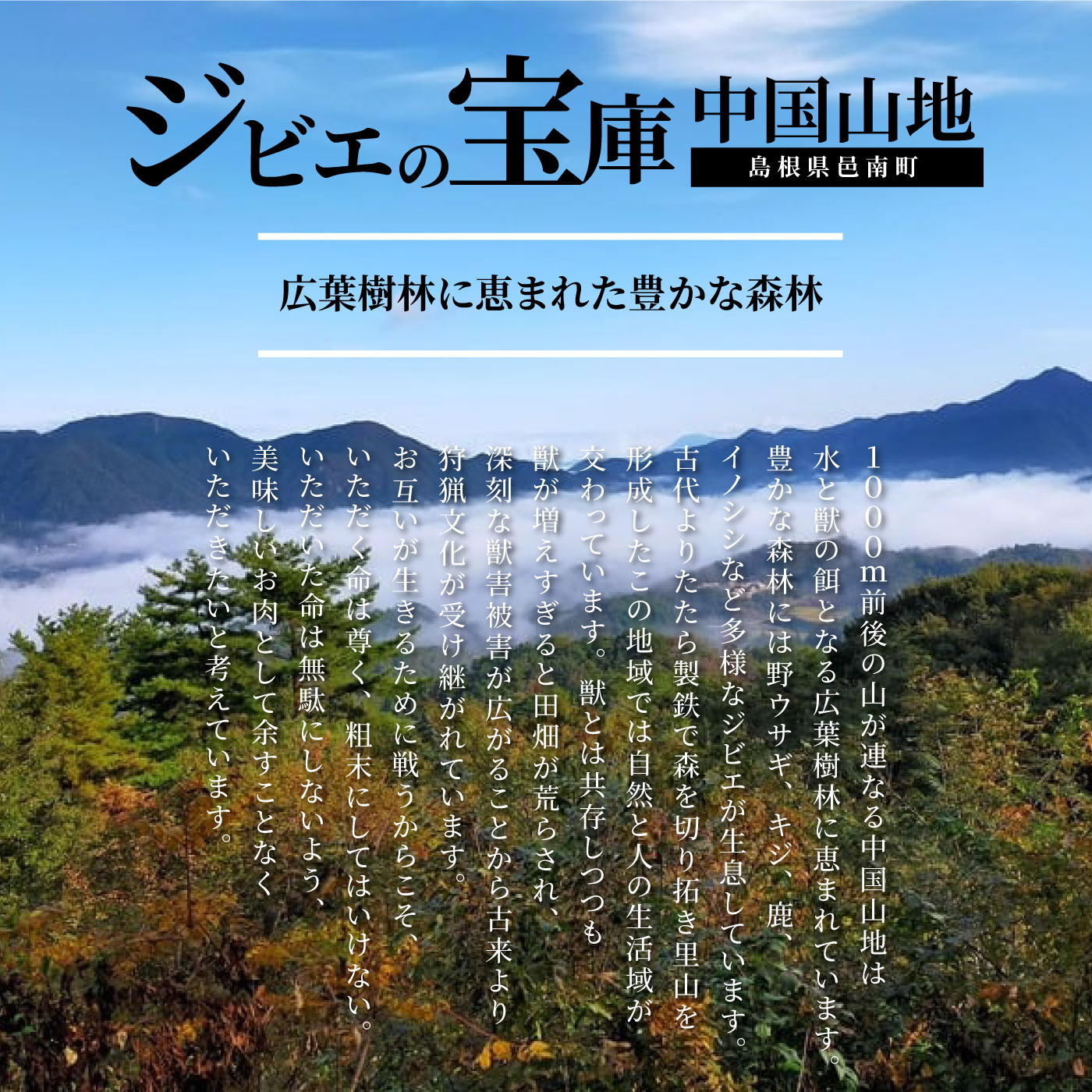 【ふるさと納税】島根県産鹿肉モモスライス 真空パック 600g（200g×3袋）冷凍 f324493-ohnan-10000541 島根県邑南町 サンプル画像3