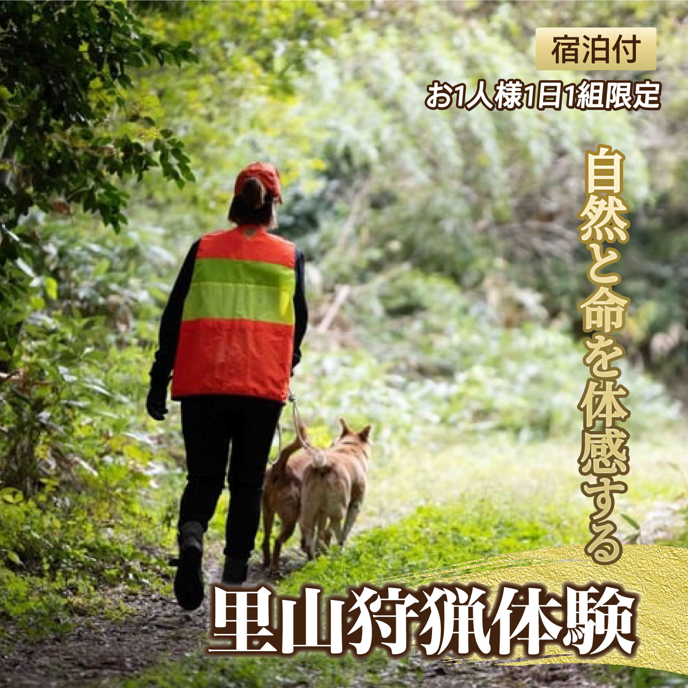 【ふるさと納税】自然と命を体感する里山狩猟体験 宿泊付 お1人様【1日1組限定】