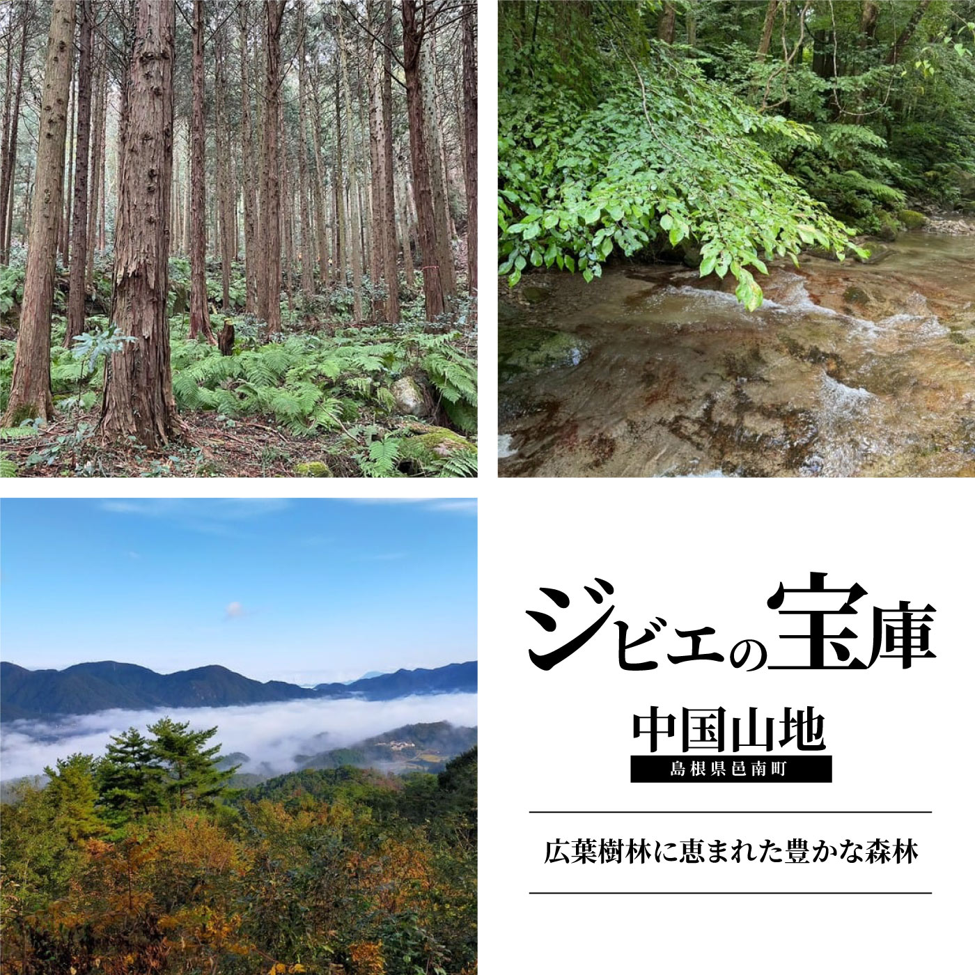 【ふるさと納税】自然と命を体感する里山狩猟体験 宿泊付 お1人様【1日1組限定】 f324493-ohnan-10000544 島根県邑南町 サンプル画像2
