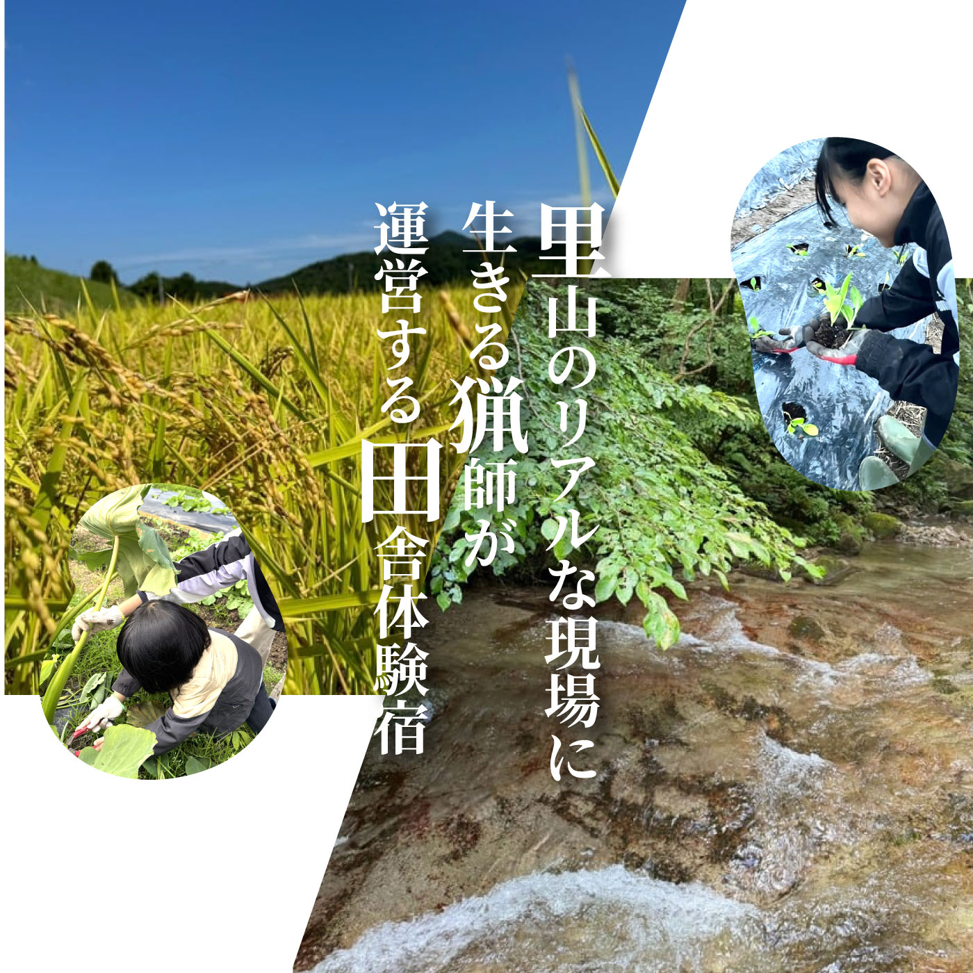 【ふるさと納税】家族で学ぶ里山暮らしとジビエ料理体験 宿泊付(小人6歳から12歳)【1日1組限定】 f324493-ohnan-10000546 島根県邑南町 サンプル画像2